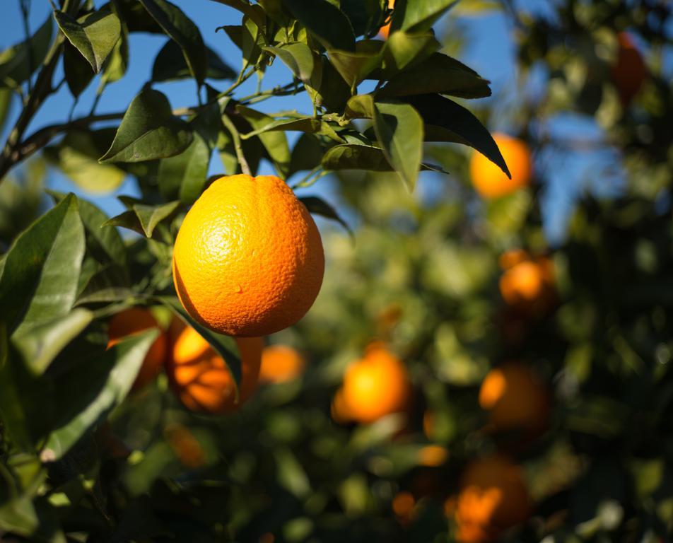 Casita Naranja Villa Alora Ruang foto